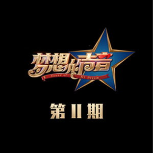 人c交ZZ000ZZ00XXⅩ
