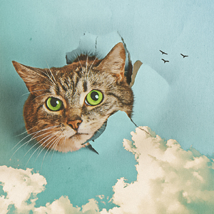 人c交ZZ000ZZ00XXⅩ
