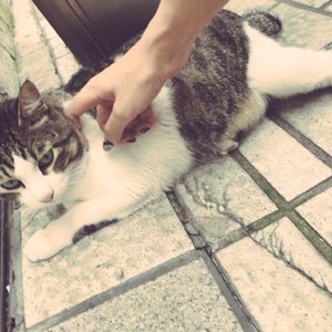 人c交ZZ000ZZ00XXⅩ
