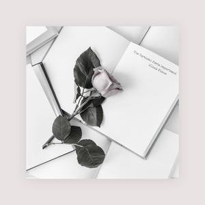 人c交ZZ000ZZ00XXⅩ
